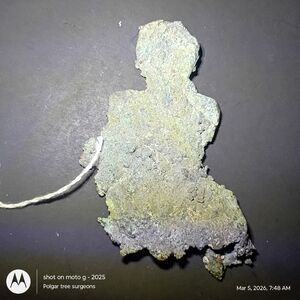 Michigan Native Copper Mineral Specimen Collectors Collection